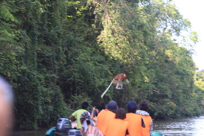 サラヤ CHEERS FOR NATURE SPECIAL【３】