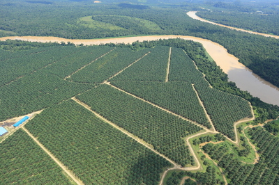 サラヤ CHEERS FOR NATURE SPECIAL【４】