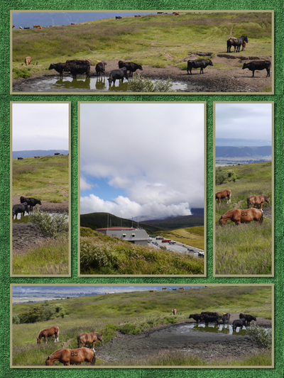 WEST NAVI STATION☆阿蘇山編