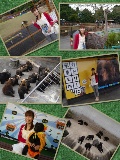 WEST NAVI STATION☆カドリードミニオン編