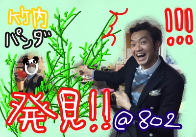 今日はパンダ発見の日！？