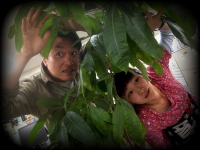 ムゲンレコード