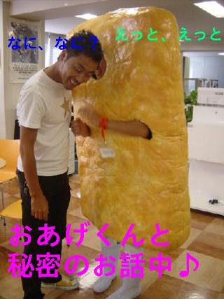 おまけのおあげ