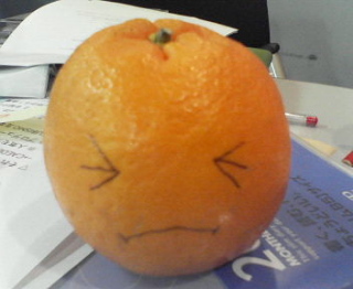 土井コマキです