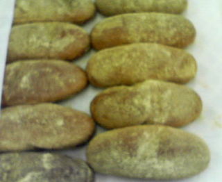 どいこまきです〜大人計画フェス行ってきました 1/4