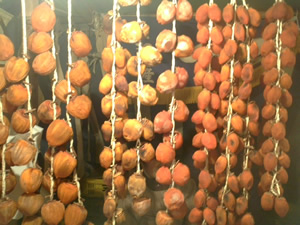 どいこまきです