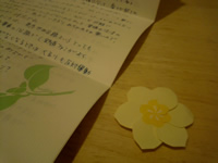 どいこまきです