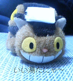 今日の夢子。日記