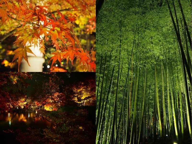 【NIGHT VIEWING on the RADIO】その1 from.べーさぎさん