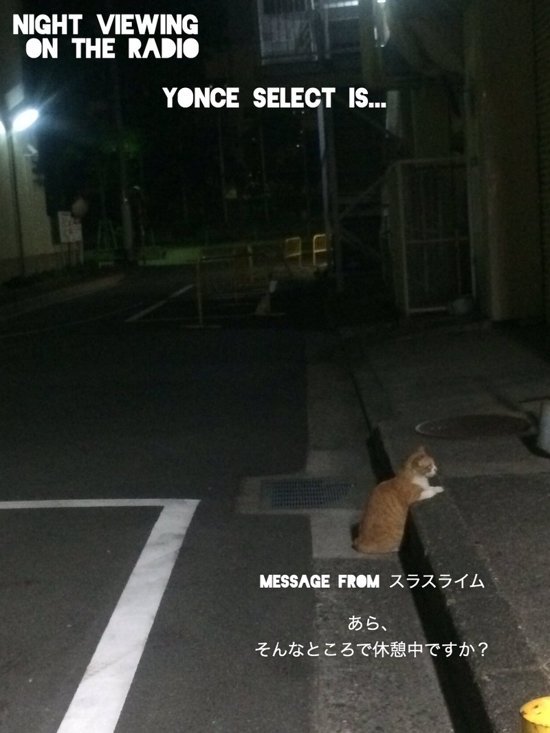 【NIGHT VIEWING on the RADIO】from.スラスライムさん