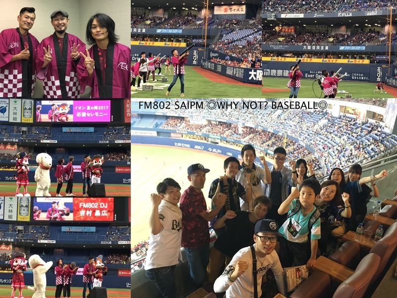 WHY NOT? BASEBALL