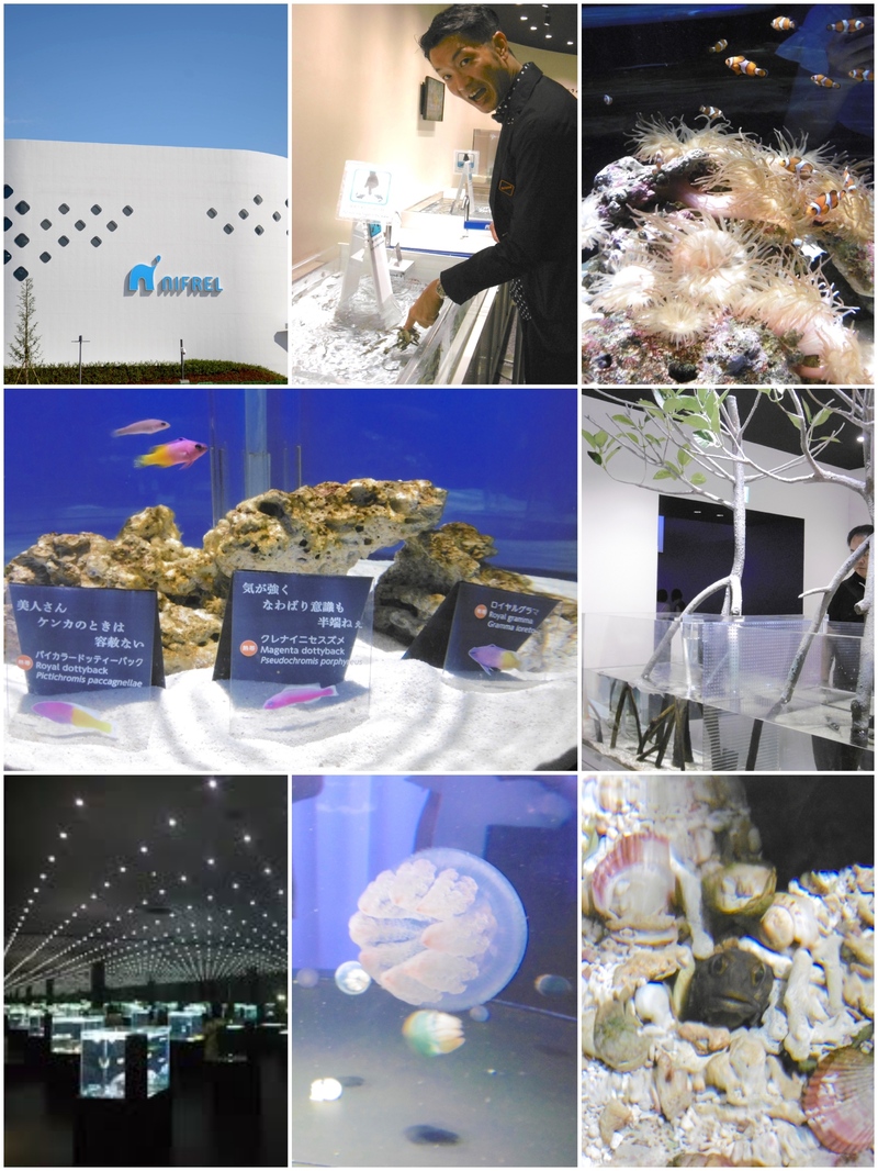 ニフレル TOUCH THE BLUE