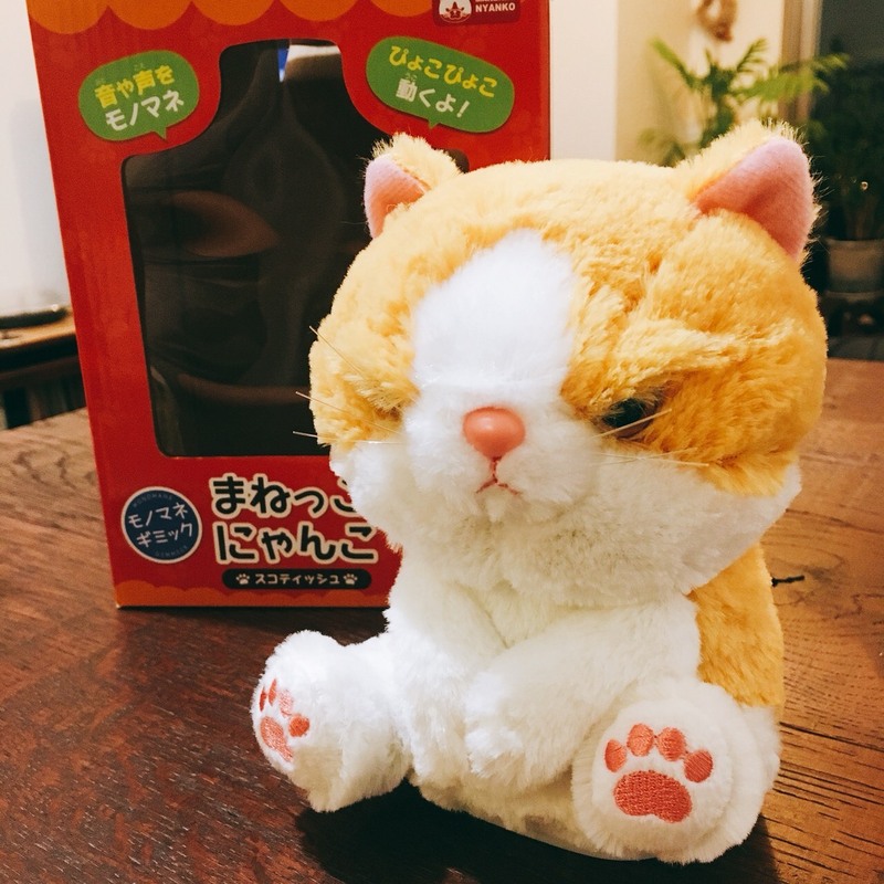 ＜Ed Sheeranにプレゼントしたのはこちら＞