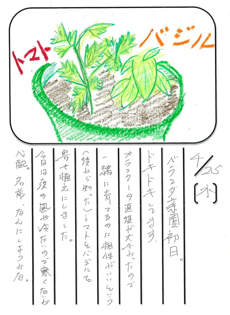 ◇ 飯室菜園日記 vol.2 ◇