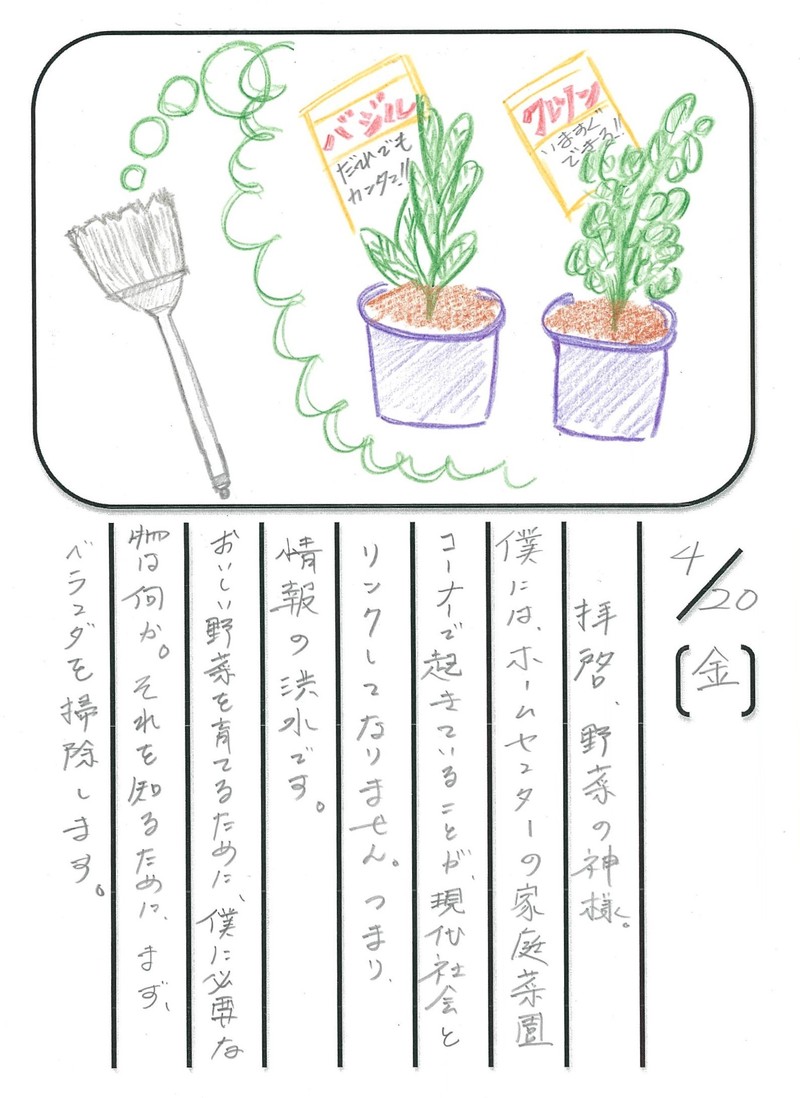 ◇ 飯室菜園日記 vol.1 ◇