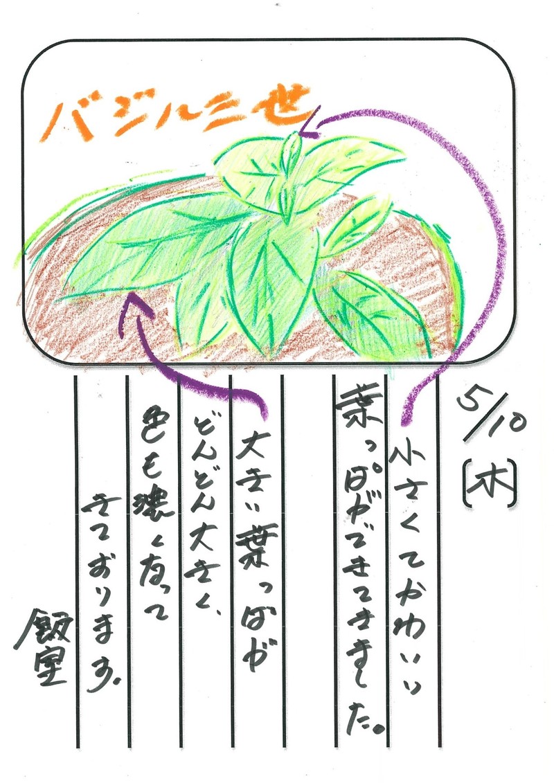 ◇ 飯室菜園日記 vol.3 ◇