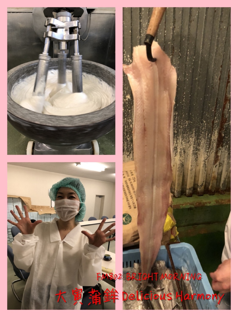 大寅蒲鉾の工場見学に行ってきました！