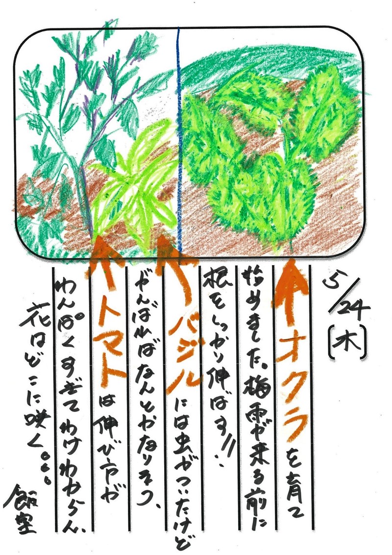 ◇ 飯室菜園日記 vol.5 ◇