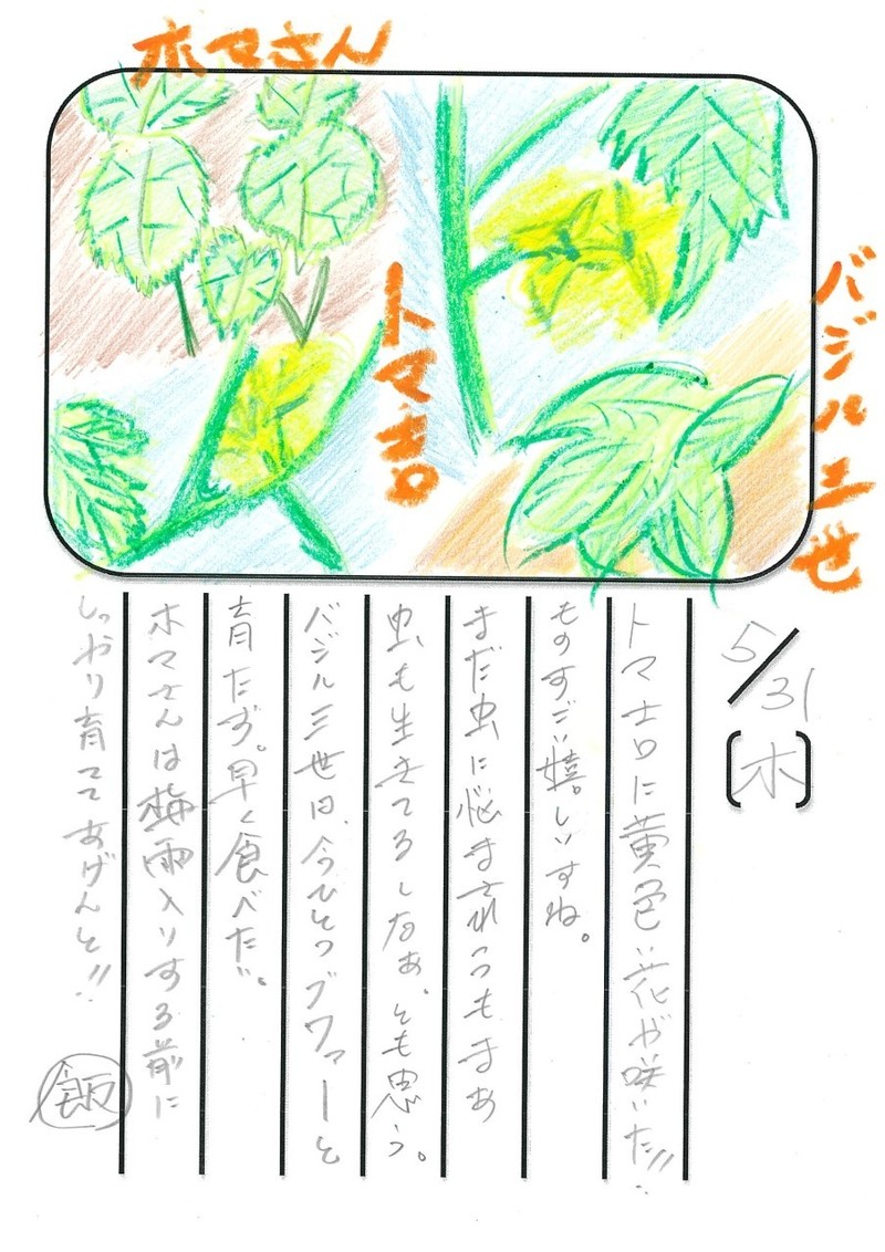 ◇ 飯室菜園日記 vol.6 ◇