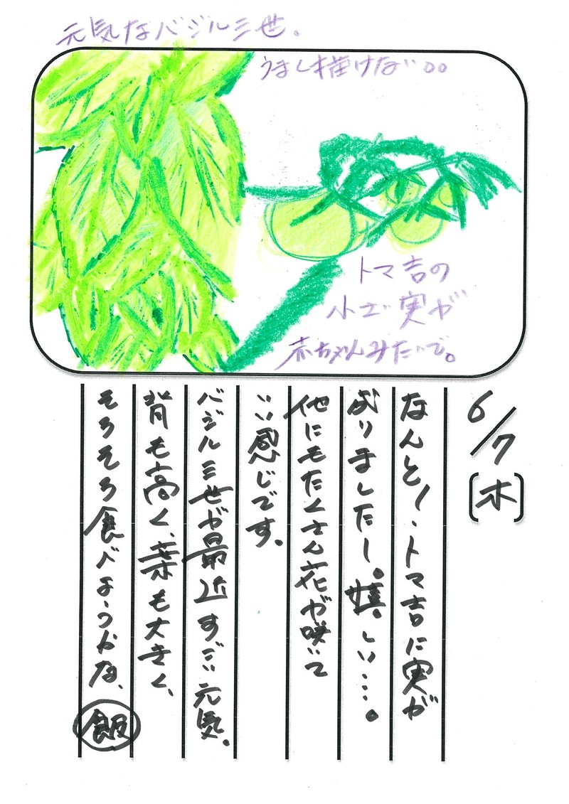 ◇ 飯室菜園日記 vol.7 ◇