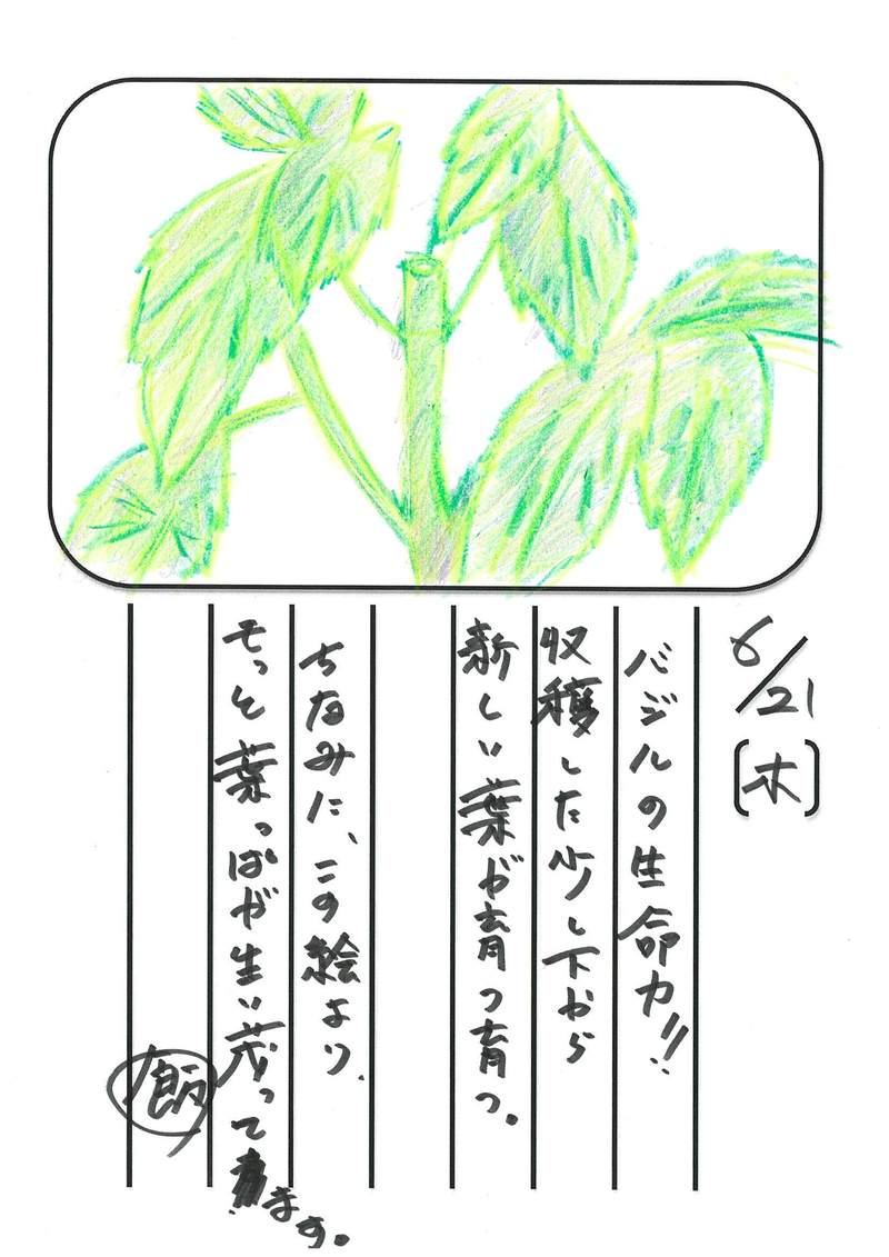 ◇ 飯室菜園日記 vol.9 ◇
