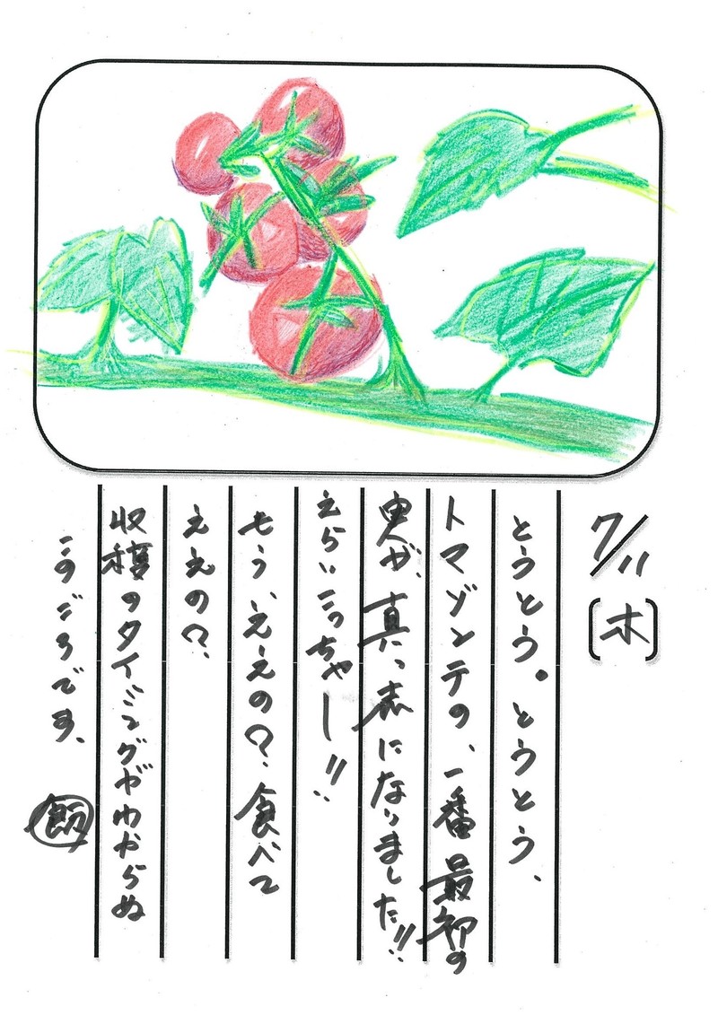 ◇ 飯室菜園日記 vol.12 ◇