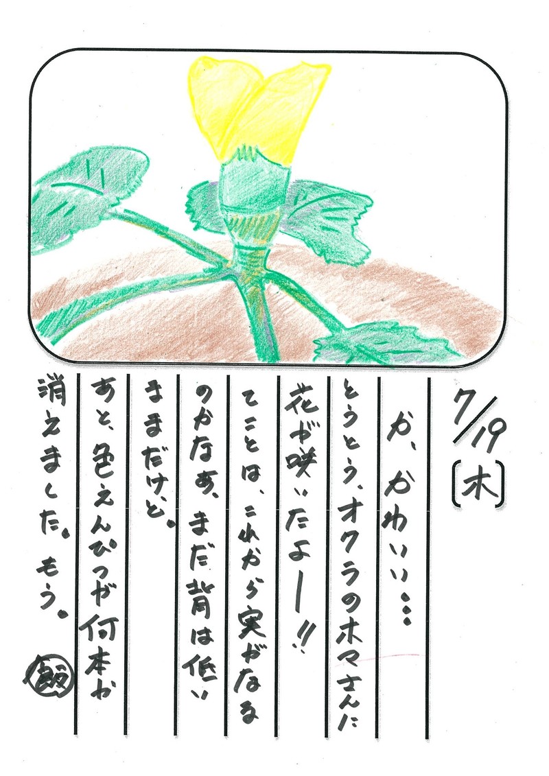 ◇ 飯室菜園日記 vol.13 ◇