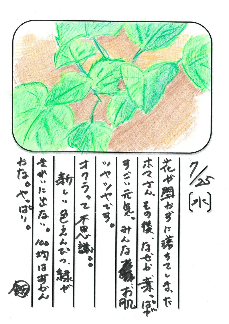◇ 飯室菜園日記 vol.14 ◇